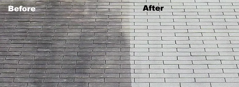 Slide of Pressure Point Cleaners