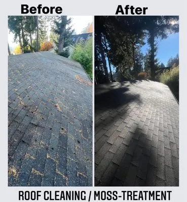 Pressure Washing