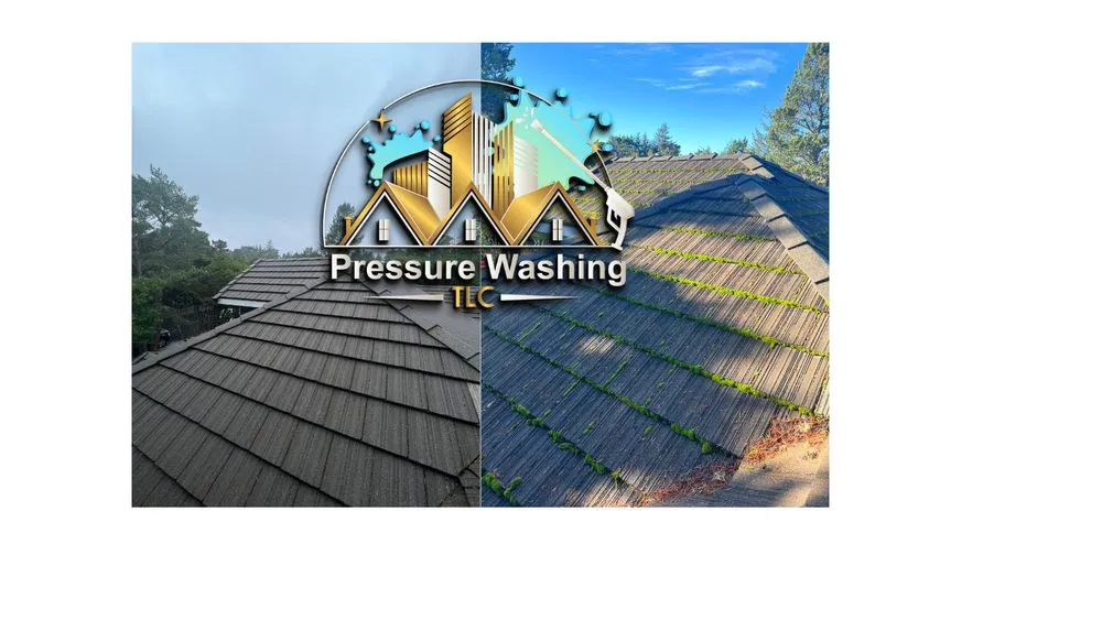 Slide of Pressure Washing TLC