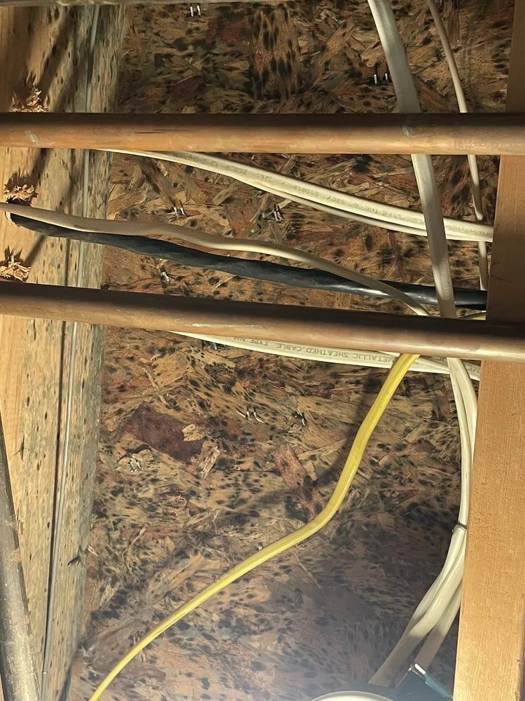 Emergency roof leak repair same-day service across White Plains, MD - Priceless Home Improvements