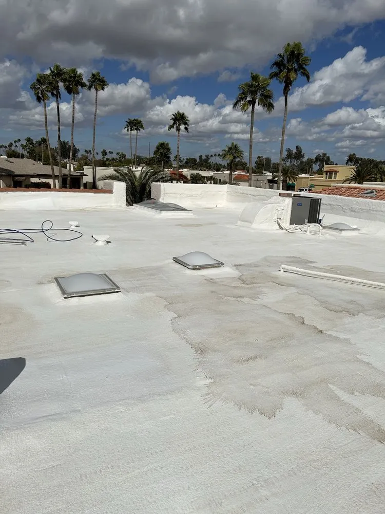 Slide of Prickly Pear Contracting