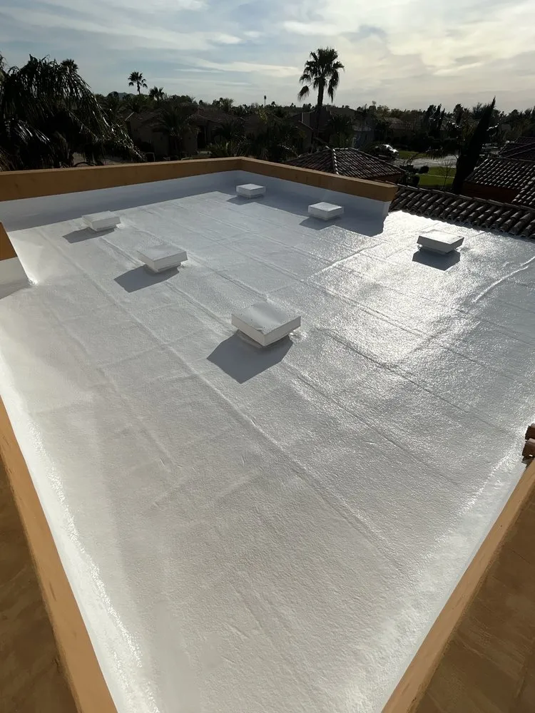 Slide of Prickly Pear Contracting