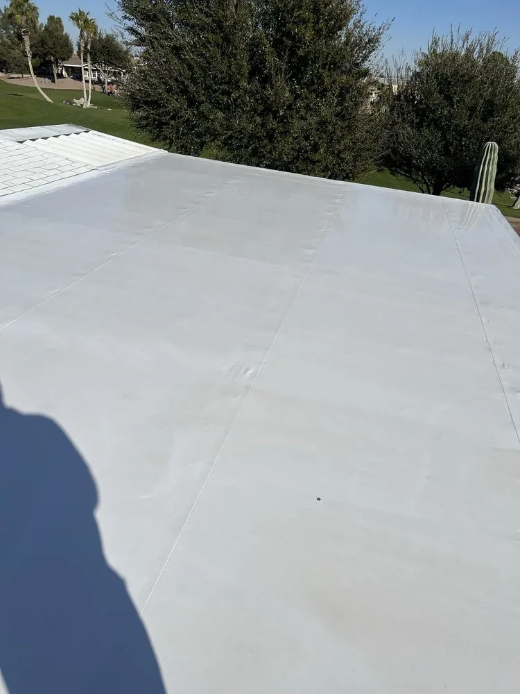 Slide of Prickly Pear Contracting