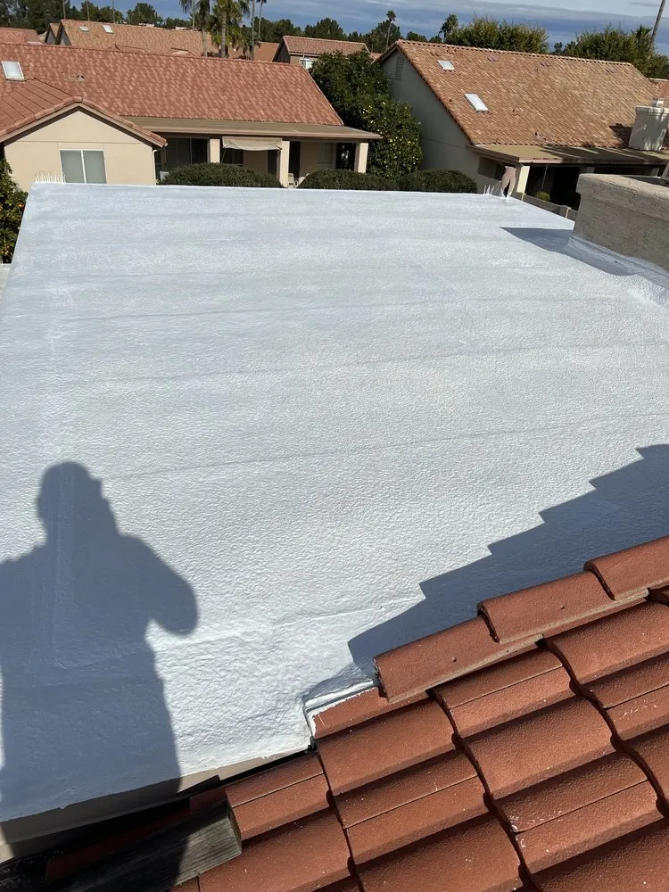 Slide of Prickly Pear Contracting