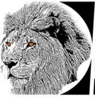 Slide of Pride Protective Coatings