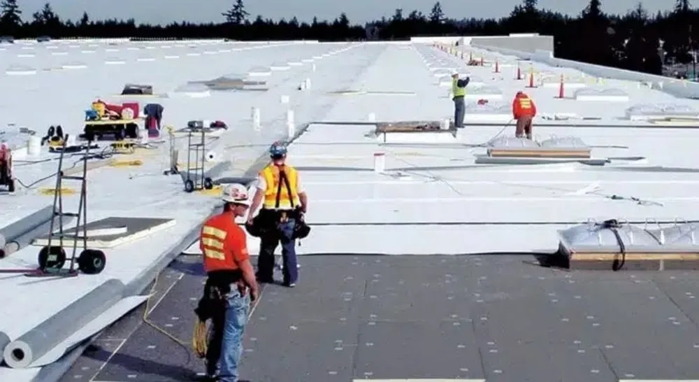 Slide of Primal Roofing