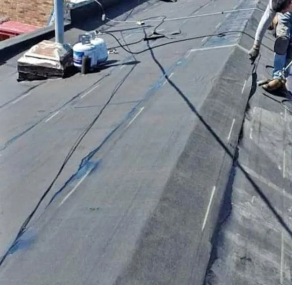 Slide of Primal Roofing