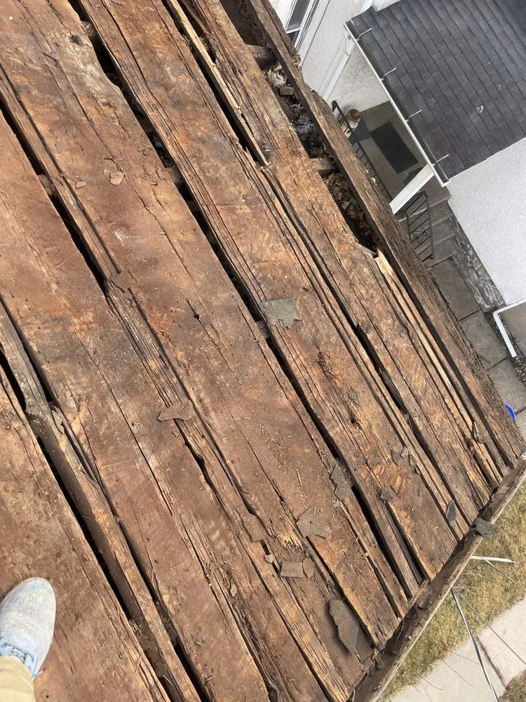 Slide of Primary general contractor