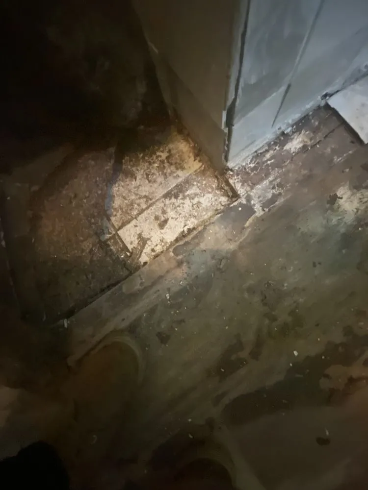 Slide of Prime Express Restoration