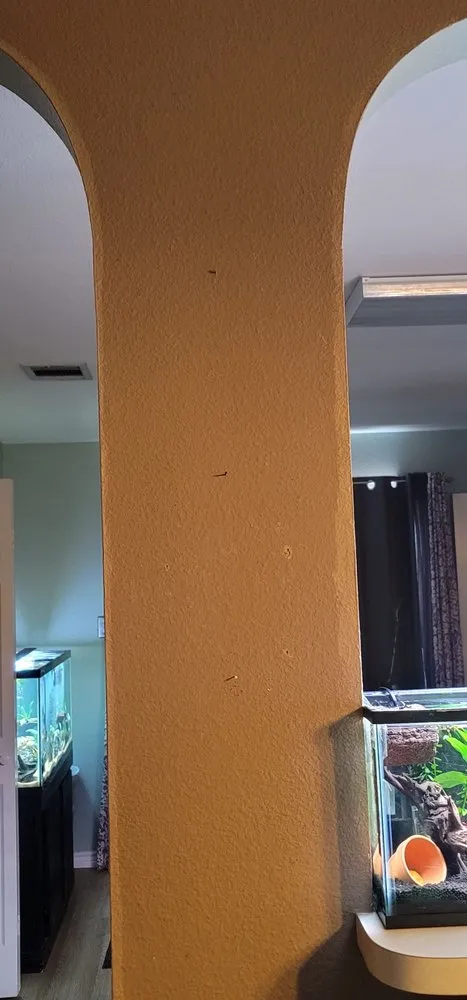 Slide of Prime Time Restoration