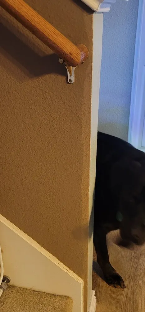 Slide of Prime Time Restoration