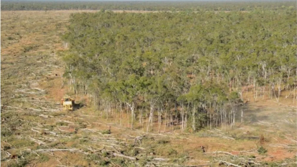 Slide of Primo Home Services