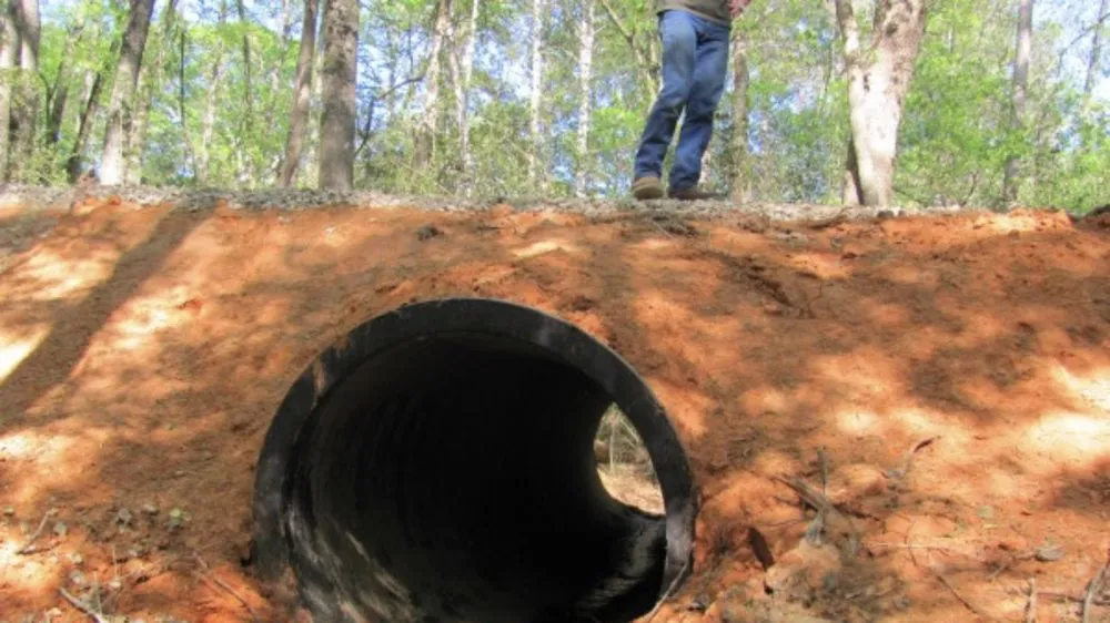 Slide of Primo Home Services