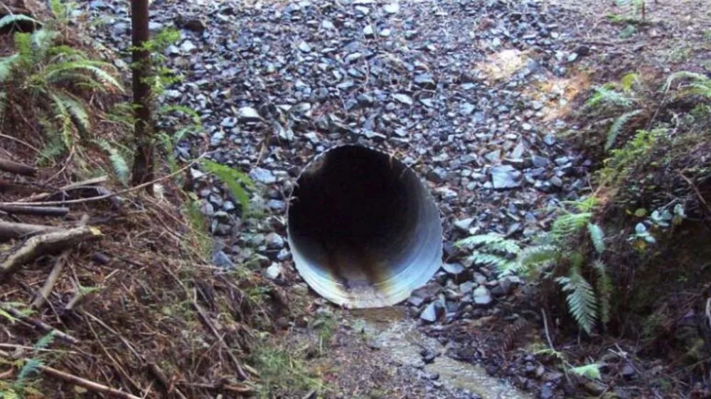 Slide of Primo Home Services