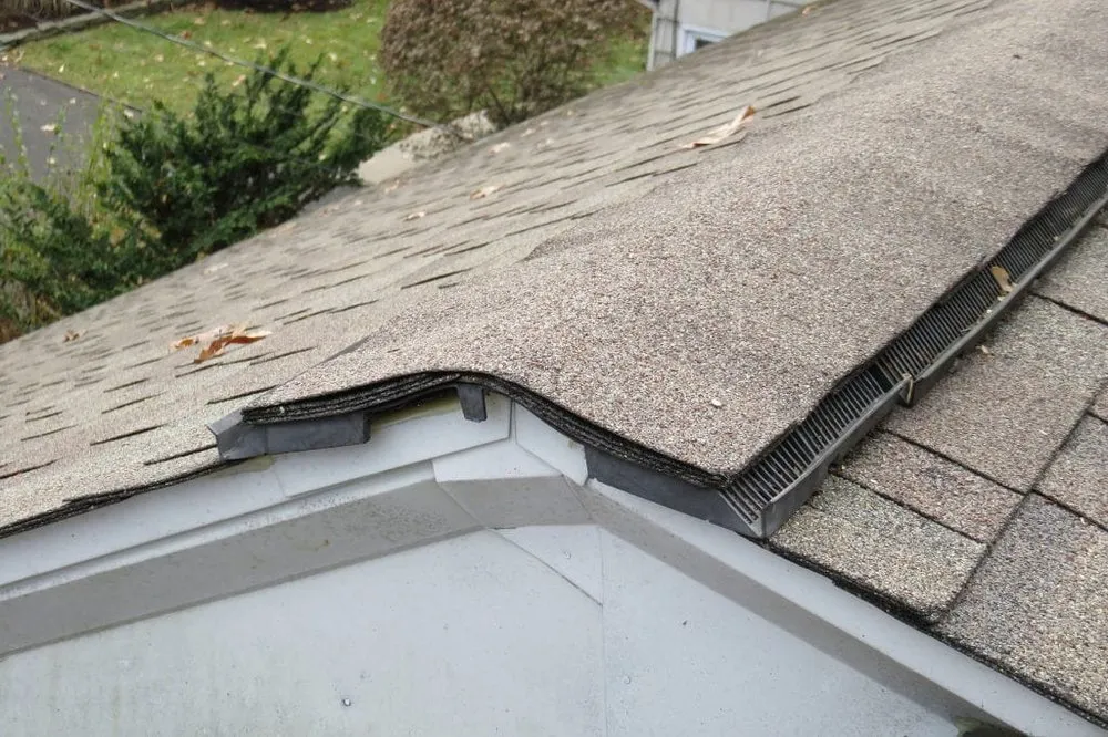 Slide of Primo Home Services