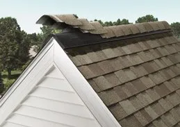 Slide of Primo Home Services