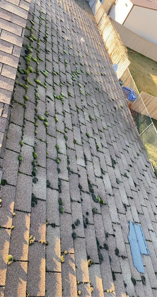 Slide of Pristine Exterior solutions