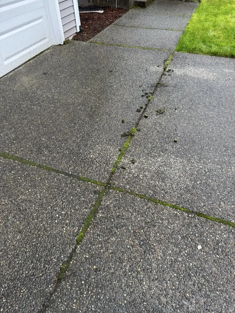 Slide of Pristine Powerwashing