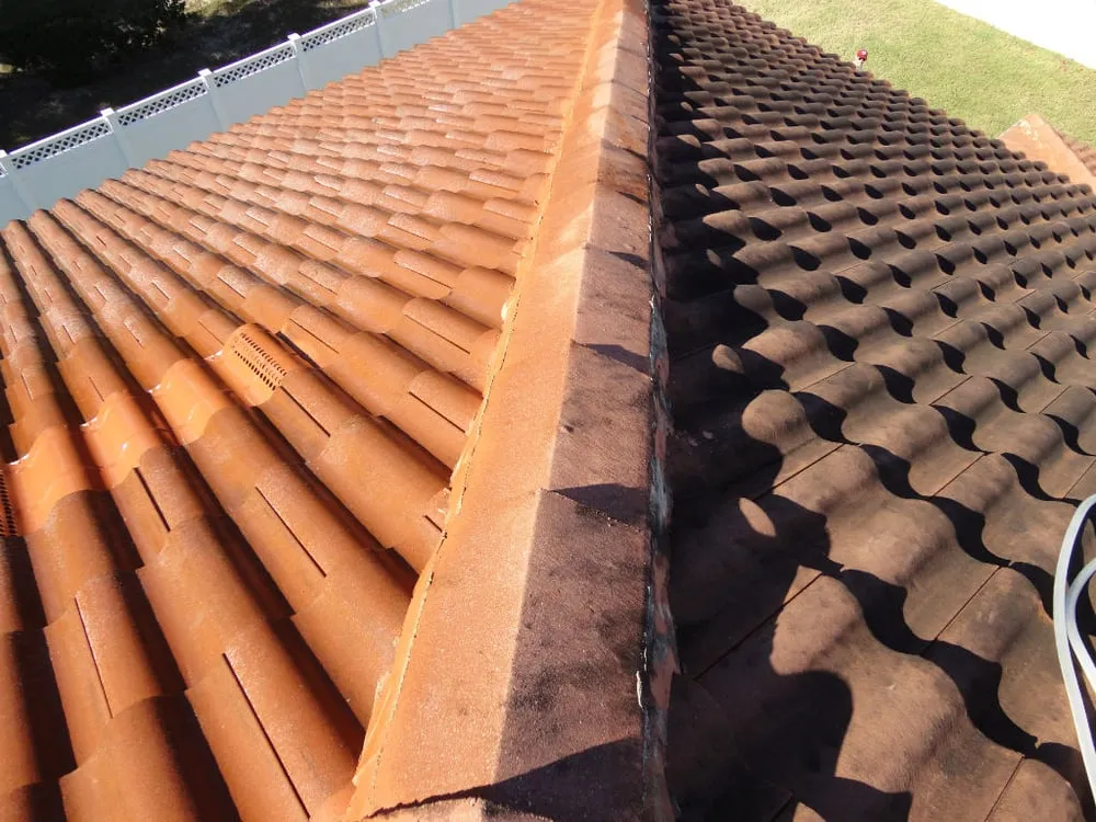 Slide of Pro Clean Services