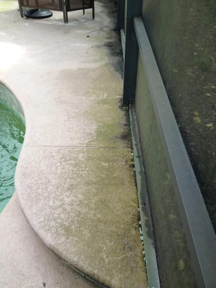 Slide of Pro Clean Services