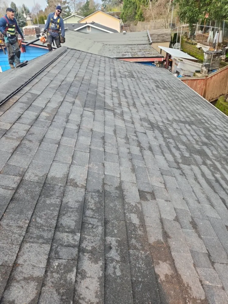 Slide of Pro-Cover Roofing