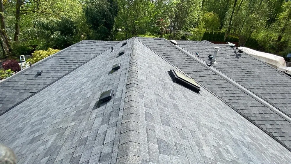 Slide of Pro-Cover Roofing