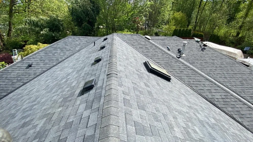 Slide of Pro-Cover Roofing