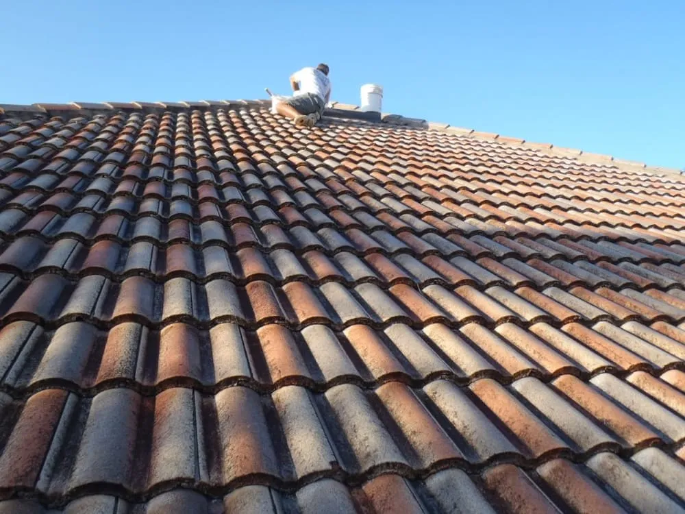 Top-rated roof leak repair with free inspection across Altoona, FL - Pro Dry Roofing