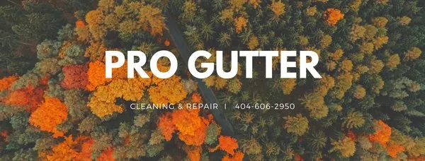 Pro Gutter Cleaning & Repair