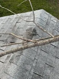 Slide of Pro Gutter Cleaning