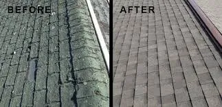 Slide of Pro Gutter Cleaning