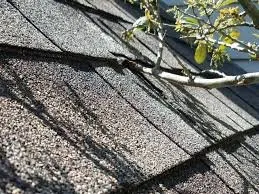 Slide of Pro Gutter Cleaning