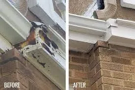 Slide of Pro Gutter Cleaning