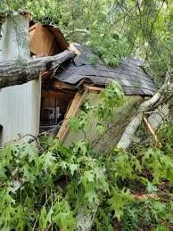 Slide of Pro Gutter Cleaning