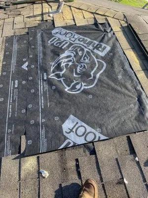 Pro line Roofing Logo