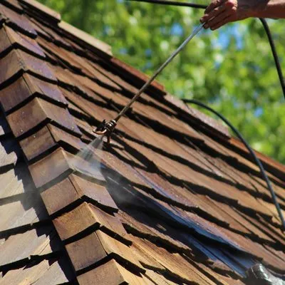 Pro-Long Roof Care Logo