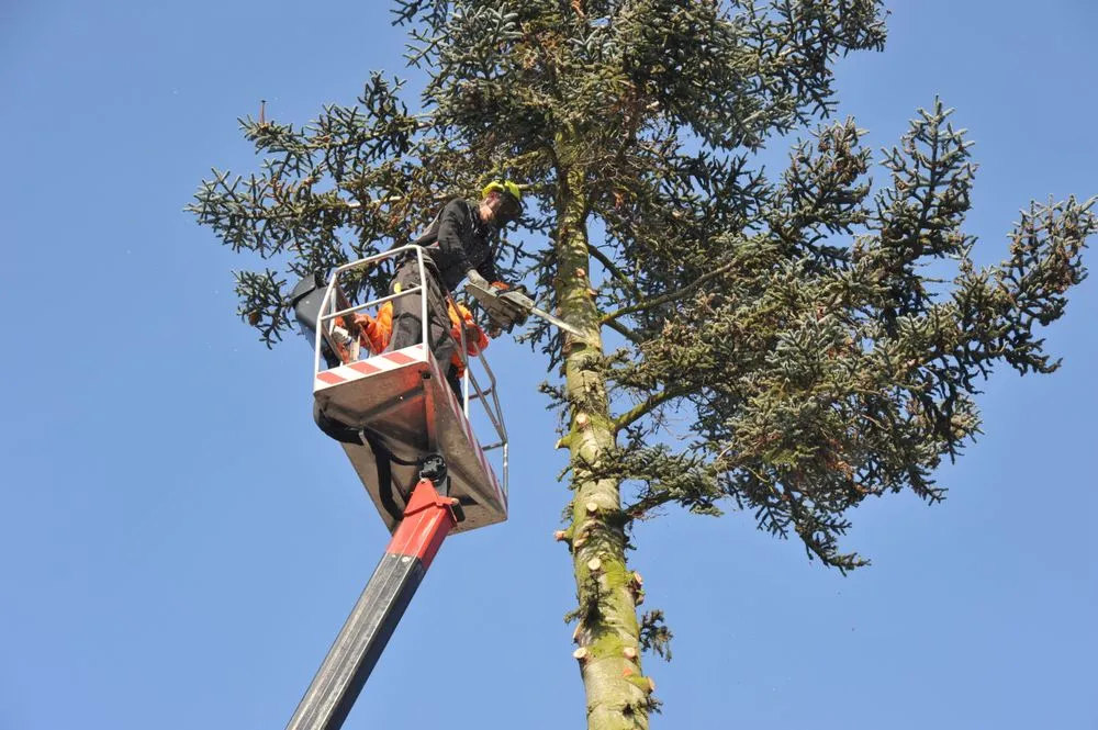 Slide of Pro Master Construction