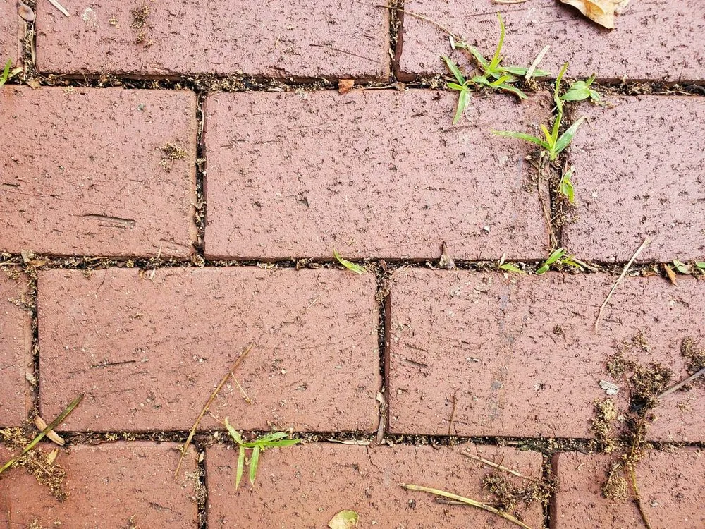 Slide of Pro Master Masonry & Waterproofing