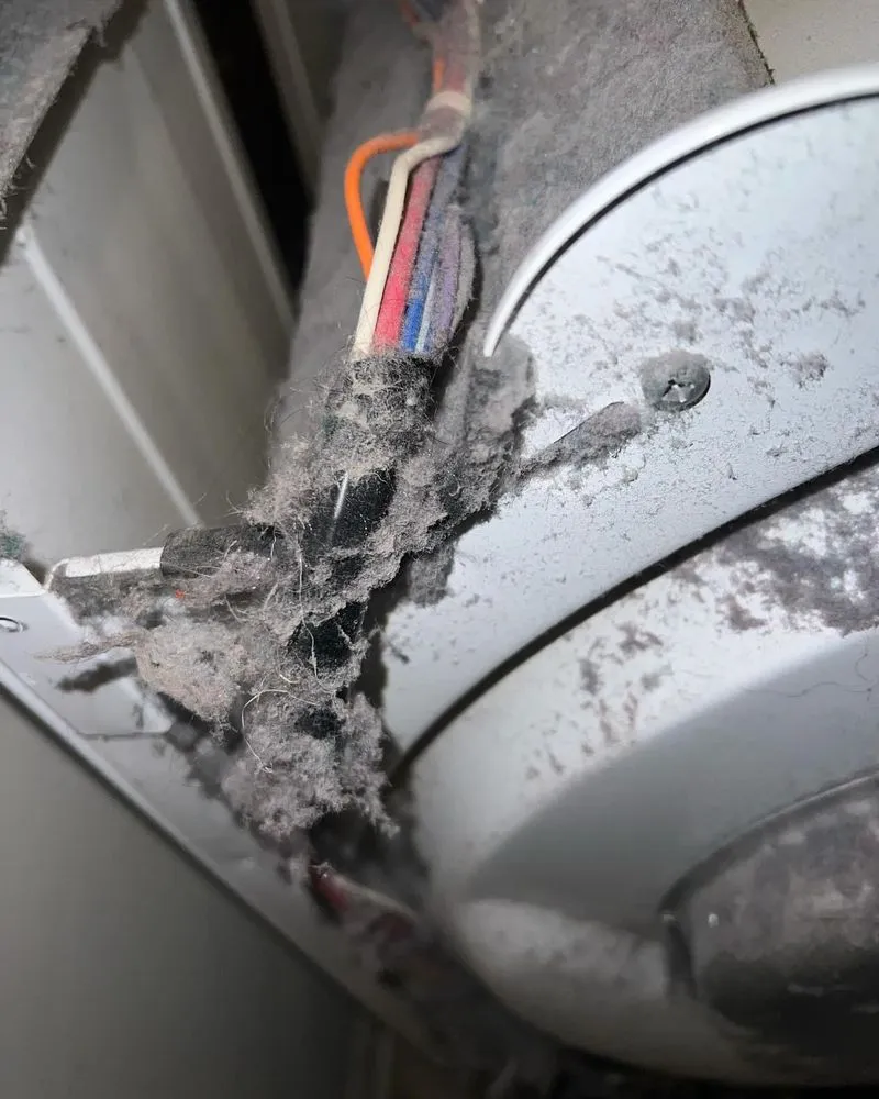 Slide of Pro Plus Home Services