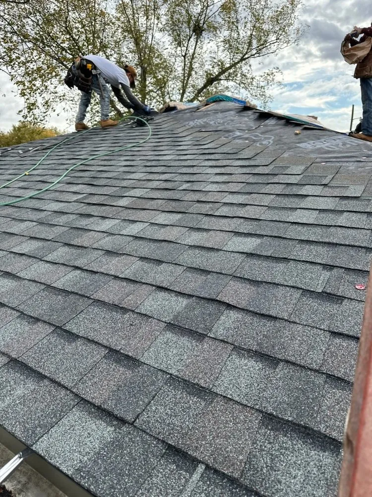 Slide of Pro Restoration Plus