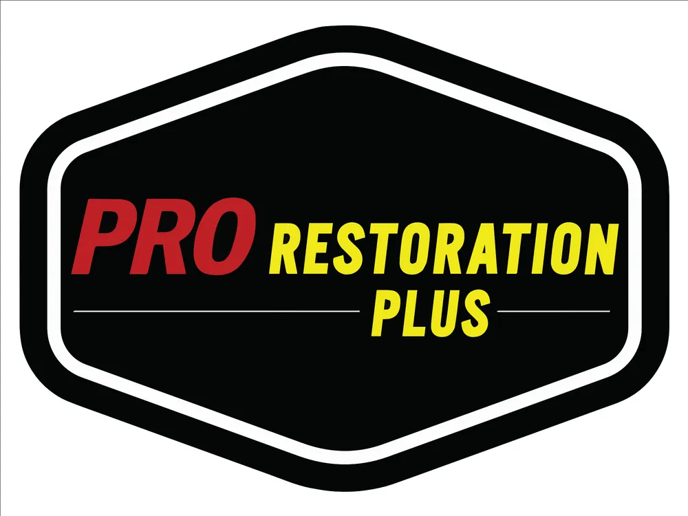 Slide of Pro Restoration Plus