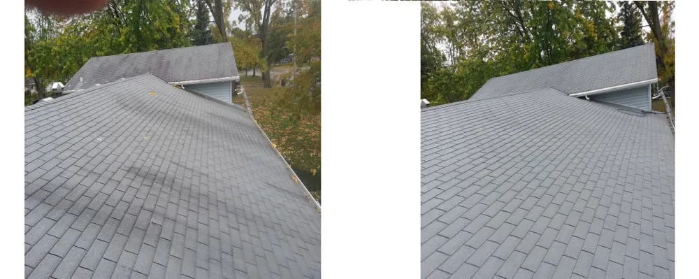Slide of Pro Roof Cleaning