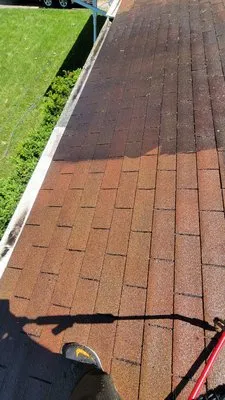 Pro Roof Cleaning Logo