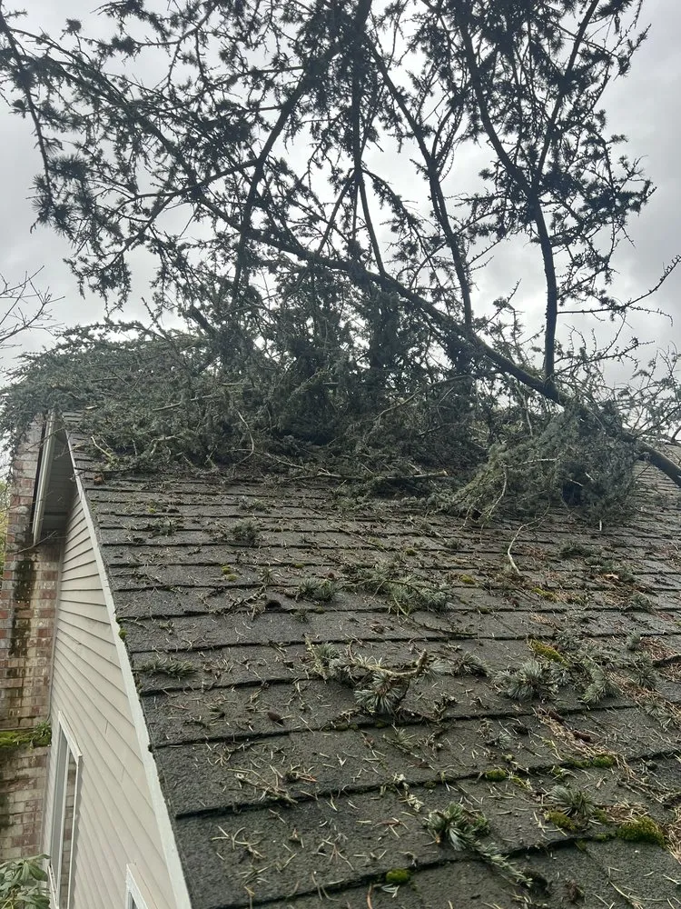 Slide of Pro Roofers Maintenance & Services