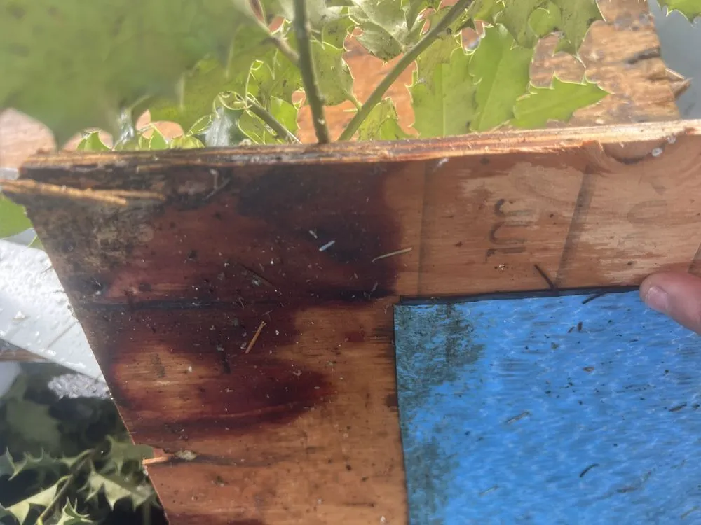 Slide of Pro Roofers Maintenance & Services