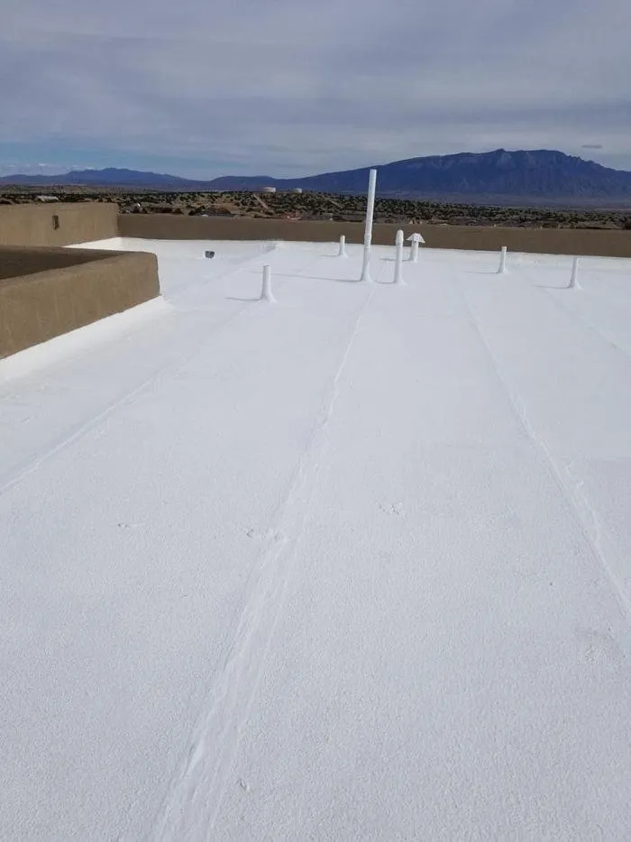 Slide of Pro Roofing