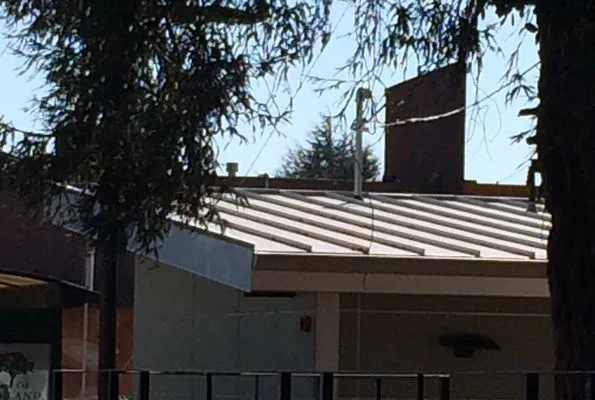 Pro Roofing Maintenance Company