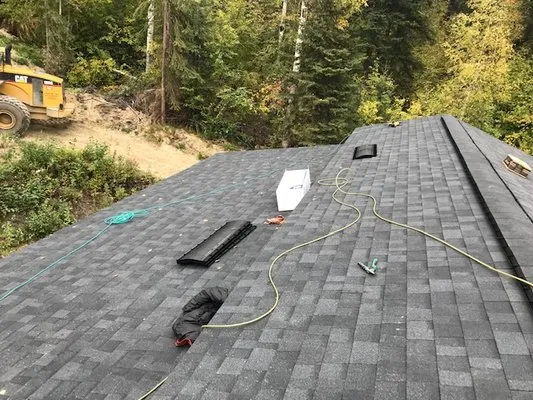 Pro Roofing