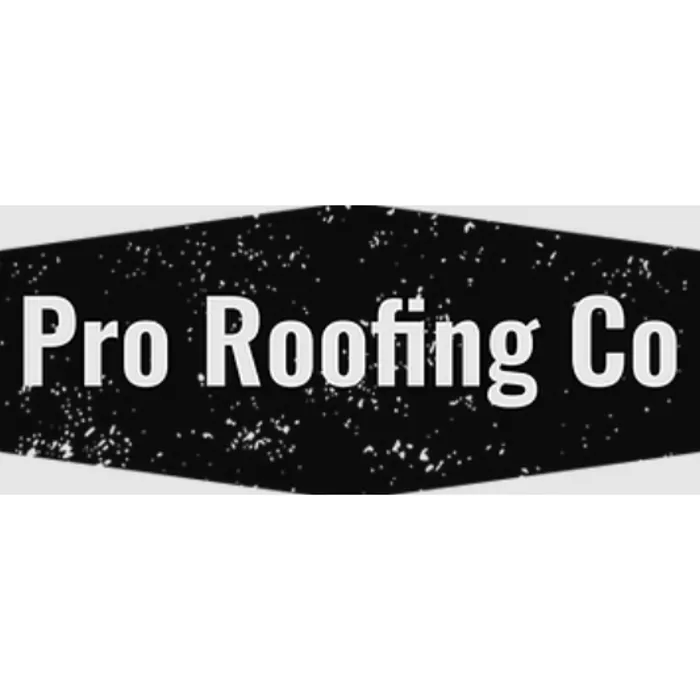 Slide of Pro Roofing