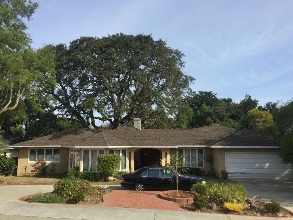 Slide of Pro Roofing